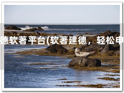 建德软著平台(软著建德，轻松申请)