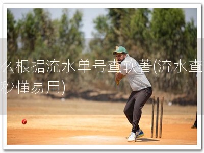 怎么根据流水单号查软著(流水查著，秒懂易用)