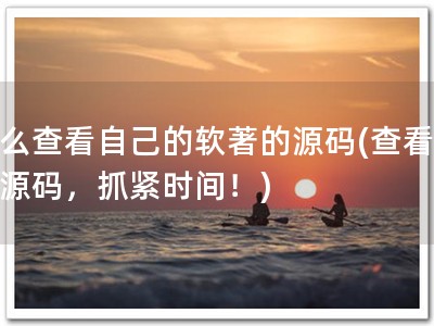 怎么查看自己的软著的源码(查看软著源码，抓紧时间！)