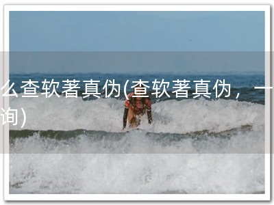 怎么查软著真伪(查软著真伪，一键查询)