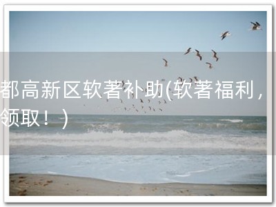 成都高新区软著补助(软著福利，立即领取！)