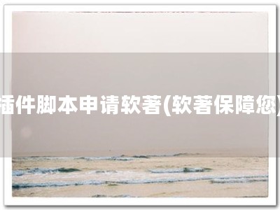 插件脚本申请软著(软著保障您)