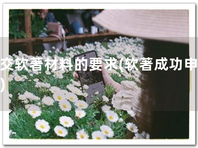 提交软著材料的要求(软著成功申请！)