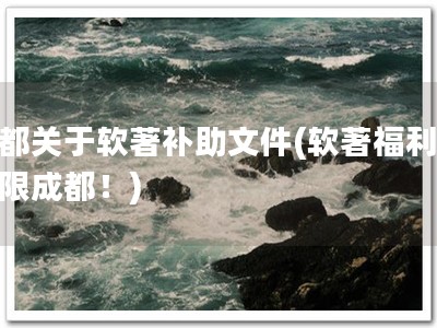 成都关于软著补助文件(软著福利，仅限成都！)