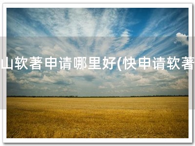 房山软著申请哪里好(快申请软著！)