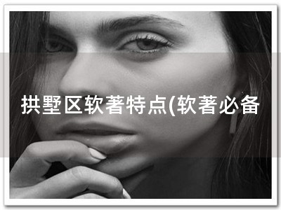 拱墅区软著特点(软著必备