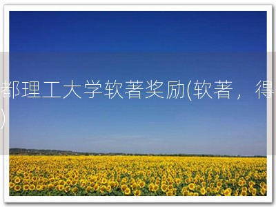 成都理工大学软著奖励(软著，得奖！)