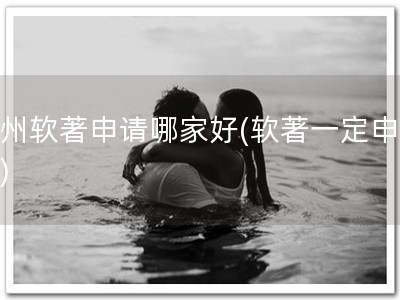 惠州软著申请哪家好(软著一定申请！)