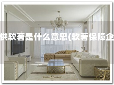 提供软著是什么意思(软著保障企业)
