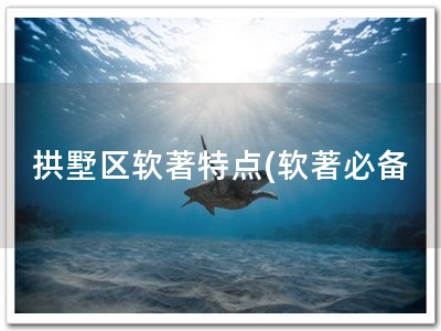 拱墅区软著特点(软著必备