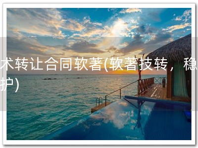 技术转让合同软著(软著技转，稳妥保护)