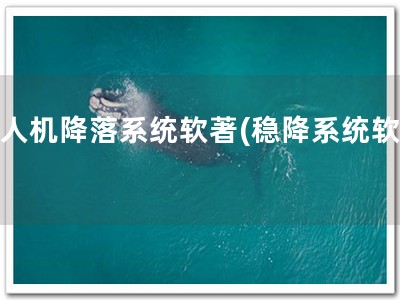 无人机降落系统软著(稳降系统软著)