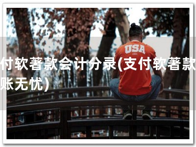 支付软著款会计分录(支付软著款，记账无忧)