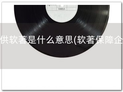 提供软著是什么意思(软著保障企业)