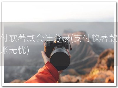 支付软著款会计分录(支付软著款，记账无忧)