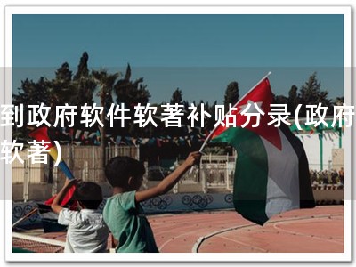收到政府软件软著补贴分录(政府补贴软著)