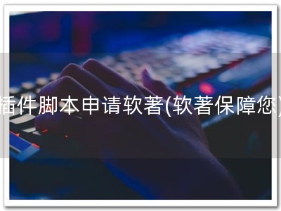 插件脚本申请软著(软著保障您)
