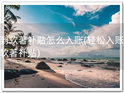 收到软著补贴怎么入账(轻松入账，享软著补贴)