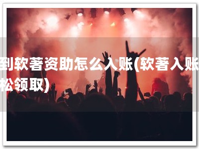 收到软著资助怎么入账(软著入账，轻松领取)