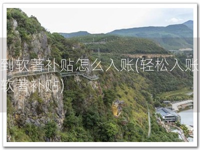 收到软著补贴怎么入账(轻松入账，享软著补贴)
