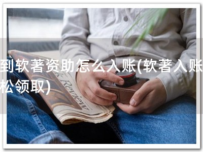 收到软著资助怎么入账(软著入账，轻松领取)
