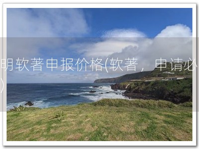 昆明软著申报价格(软著，申请必备！)