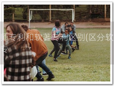 教师专利和软著专利区别(区分软著教专