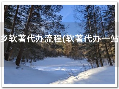 新乡软著代办流程(软著代办一站式)
