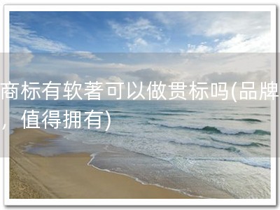有商标有软著可以做贯标吗(品牌双保，值得拥有)