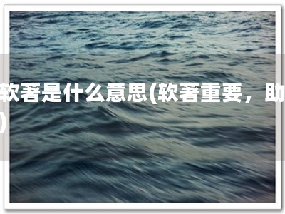 有软著是什么意思(软著重要，助成功)