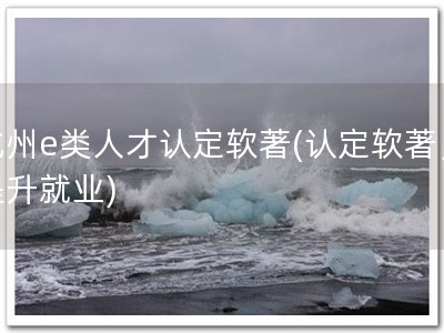 杭州e类人才认定软著(认定软著，提升就业)