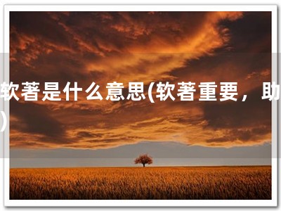 有软著是什么意思(软著重要，助成功)
