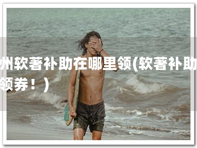 杭州软著补助在哪里领(软著补助，先领券！)