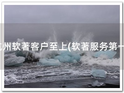 杭州软著客户至上(软著服务第一)