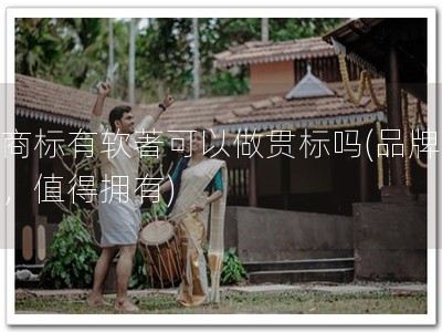 有商标有软著可以做贯标吗(品牌双保，值得拥有)