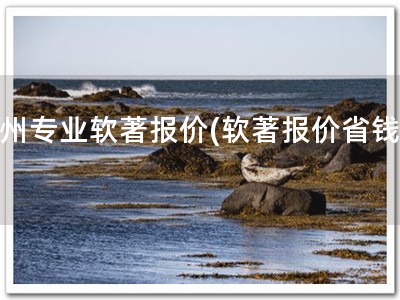 杭州专业软著报价(软著报价省钱！)