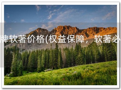 棋牌软著价格(权益保障，软著必备)