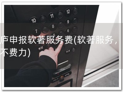 桐庐申报软著服务费(软著服务，申请不费力)