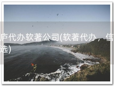 桐庐代办软著公司(软著代办，信赖之选)