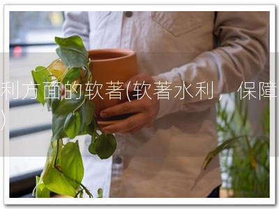 水利方面的软著(软著水利，保障水源)
