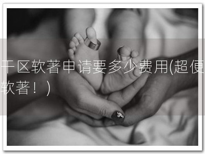 江干区软著申请要多少费用(超便宜申软著！)