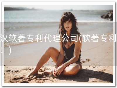 武汉软著专利代理公司(软著专利必备！)
