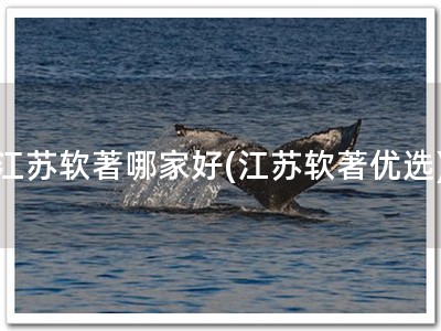 江苏软著哪家好(江苏软著优选)