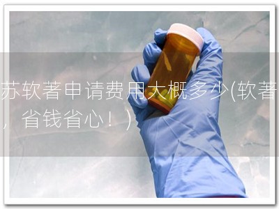 江苏软著申请费用大概多少(软著申请，省钱省心！)