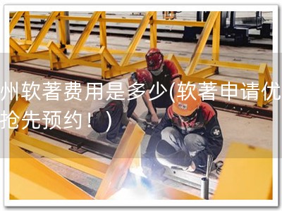 杭州软著费用是多少(软著申请优惠，抢先预约！)