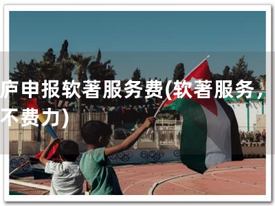 桐庐申报软著服务费(软著服务，申请不费力)