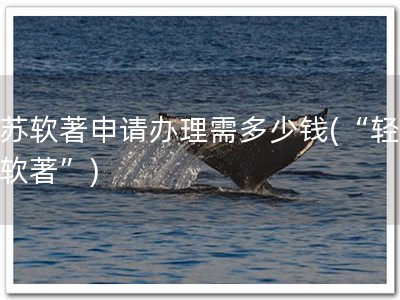 江苏软著申请办理需多少钱(“轻松办软著”)