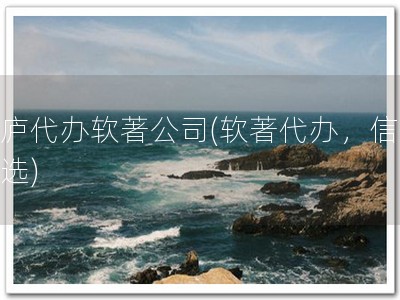 桐庐代办软著公司(软著代办，信赖之选)