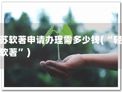 江苏软著申请办理需多少钱(“轻松办软著”)
