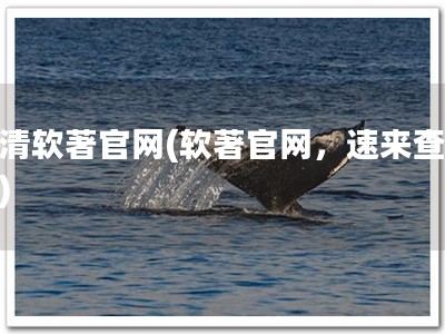 武清软著官网(软著官网，速来查阅！)